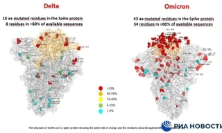 Công bố hình ảnh so sánh biến thể 'siêu đột biến' Omicron với Delta