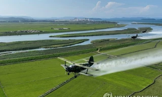 Ông Kim Jong-un lệnh cho máy bay quân sự phun thuốc bảo vệ mùa màng