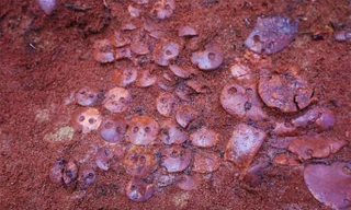 Những món trang sức bằng hổ phách đã giúp các nhà khoa học tìm ra vị trí của ngôi mộ - Ảnh: Đại học Bang Petrozavodsk