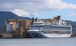 Tàu Ruby Princess. Ảnh: Tân Hoa Xã