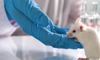 Ảnh minh hoạ: SCMP