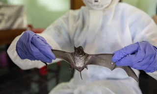 Ảnh minh họa: CGTN