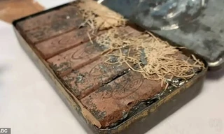 Những thanh sôcôla vẫn còn nguyên vẹn, chỉ bị phân hủy nhẹ. 