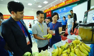 10 dự án khởi nghiệp thanh niên nông thôn xuất sắc nhất khu vực miền Bắc 2020