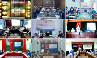 Hội nghị giao ban diễn ra theo hình thức trực tuyến