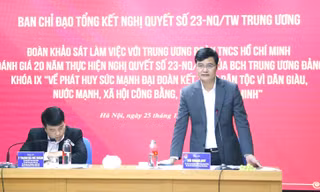 Cần tạo điều kiện để Đoàn Thanh niên phát huy tốt nhất nhiệm vụ của mình