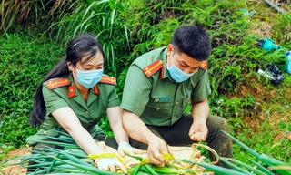 Thượng úy Công an chớp khoảnh khắc đẹp khi đồng đội hái nông sản gửi người dân vùng dịch