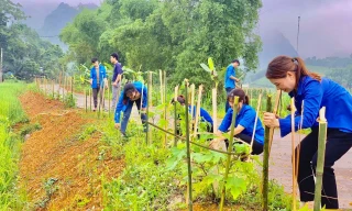 Xây mới hơn 1.000 nhà tránh lũ, 390.000 vườn ươm bảo vệ môi trường