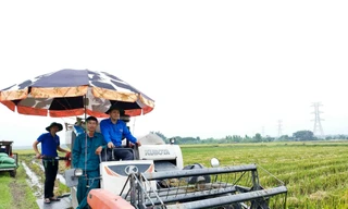 'Áo xanh' hỗ trợ thu hoạch rau màu, di dời tài sản để thi công đường dây 500kV mạch 3