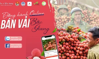 Chiến dịch tình nguyện 'đồng hành online - bán vải Bắc Giang'