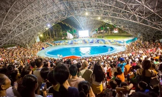 Miễn phí vé vào khu vui chơi, đảo Tuần Châu chật cứng người