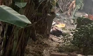 Phát hiện thi thể người đàn ông nghi bị giết rồi đốt xác trong thùng phuy