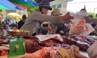 Ngất ngưởng giá thịt trâu chọi Đồ Sơn