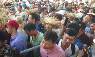 Vạn người chen lấn, xô đẩy xem chọi trâu Đồ Sơn