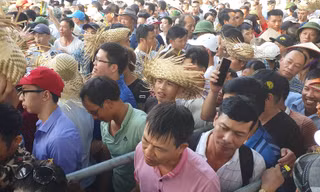 Vạn người chen lấn, xô đẩy xem chọi trâu Đồ Sơn