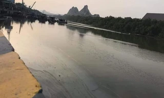 Vỡ đường ống dẫn ở công ty xi măng, 7 khối dầu tràn ra môi trường