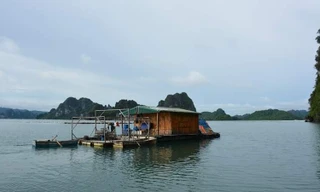 Bắt sới bạc ở Vân Đồn, nhiều đối tượng nhảy xuống biển thoát thân 