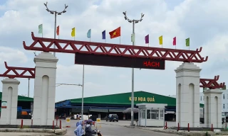 Ban Thường vụ Quận ủy bị kỷ luật vì để xảy ra sai phạm ở chợ rau