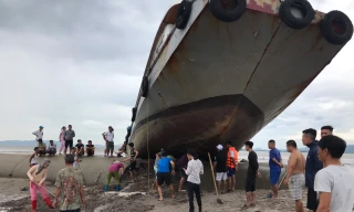 Vào đêm 1/8, khi chạy vào bờ tránh trú bão, tàu khách Hoàng Vi 1 ở Quan Lạn (Quảng Ninh), đã... leo lên đê bao của một dự án lấn biển.