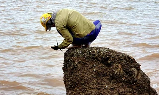 Theo chân người dân Đồ Sơn đi gõ hà biển ngày cuối năm