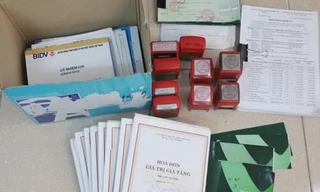 Nữ 'doanh nhân' điều hành 7 công ty ma bán hơn 2.500 tỷ hóa đơn giả