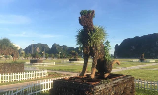 Cận cảnh những con giáp 'biến hình' ở Hạ Long