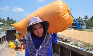 Người dân ở ĐBSCL phơi lúa. Ảnh: Hòa Hội.