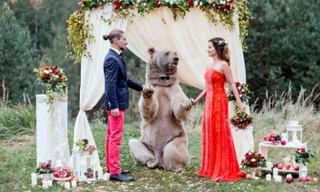 Gấu làm chủ hôn