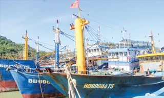 Hàng loạt tàu cá của ngư dân Bình Định bị hư hỏng đang chờ sửa chữa. Ảnh: Hoài Văn.