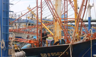 Tàu vỏ thép ngư dân Bình Định hư hỏng nặng, nằm bờ.