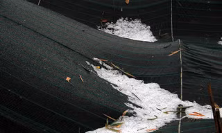 Mưa đá ở Đà Lạt gây thiệt hại 7,4 tỷ đồng