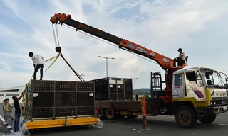 Vận chuyển động vật hoang dã từ máy bay vào vườn thú. Ảnh: Phạm Việt Lâm.