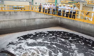 Chất thải của nhà máy Formosa có chứa các độc tố Phenol, Xyanua. Hydroxit sắt