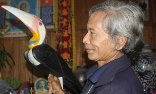 Chuyện 'vua sâm' thách thức thần linh