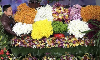 Đà Lạt có nhiều loài hoa mới lạ