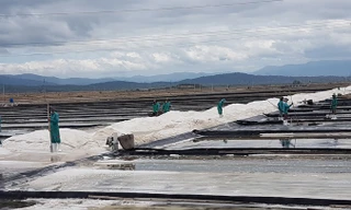Cánh đồng muối Quán Thẻ.