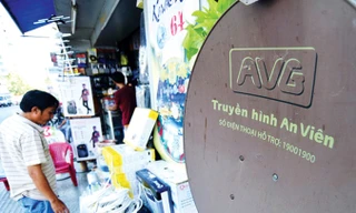 Kết luận thanh tra của Thanh tra Chính phủ việc tăng vốn của AVG cũng có nhiều đột biến​. Ảnh: PV.