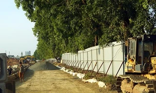 Nếu buộc phải chặt, di dời thì nên xã hội hóa