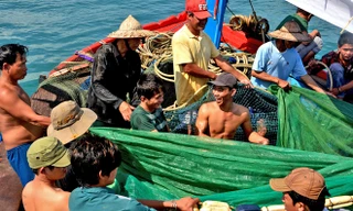 Ngư dân trên tàu cá ở cửa biển Sa Huỳnh hò dô kéo lưới. Ảnh: L.V.C.