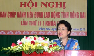 Phó Bí thư Tỉnh ủy Đồng Nai 'chống lưng' cho công ty của chồng ra sao?