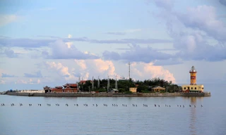 Tại đảo Sơn Ca, Hành trình tuổi trẻ vì biển đảo năm 2016 sẽ trồng một số loại cây trên đảo bằng đất được lấy từ các địa phương cách mạng nổi tiếng. Ảnh: Xuân Tùng.