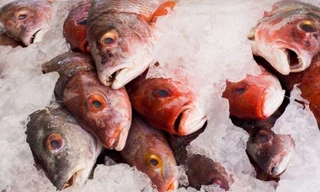 EU cảnh báo có độc tố trên cá hồng nhập từ Việt Nam