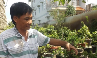 Anh Hồ Hoàng Tâm bên vườn cây cảnh của mình. Ảnh: Hòa Hội.