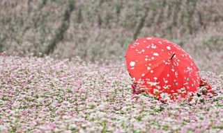 “Hot” như Hà Giang