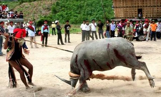 Lễ hội và những tên gọi phản cảm 