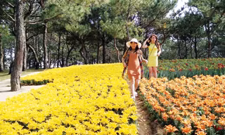 Tham quan vườn hoa của Cty CNSH Rừng hoa Đà lạt.