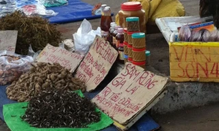 Cẩn trọng với thảo dược bán dạo