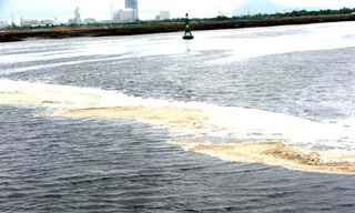 Góp ý báo cáo bảo vệ môi trường sông Thị Vải