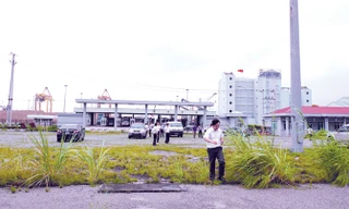 Cỏ mọc um tùm trên nền bê tông của ga Cái Lân. Ảnh: Sỹ Lực.