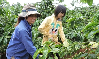 Nhược Nam giúp mẹ làm rẫy.